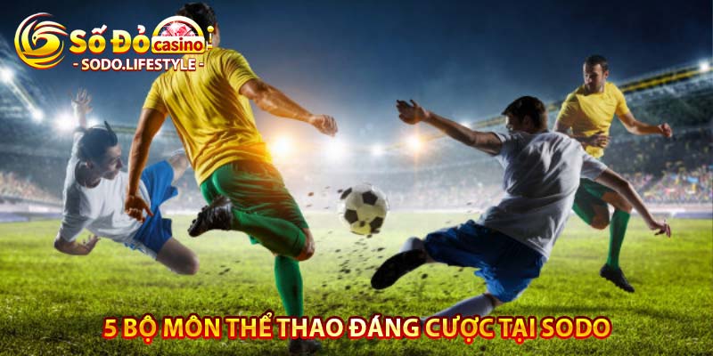 5 bộ môn thể thao đáng cược tại sodo
