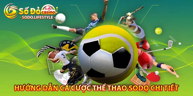 hướng dẫn cá cược thể thao sodo chi tiết