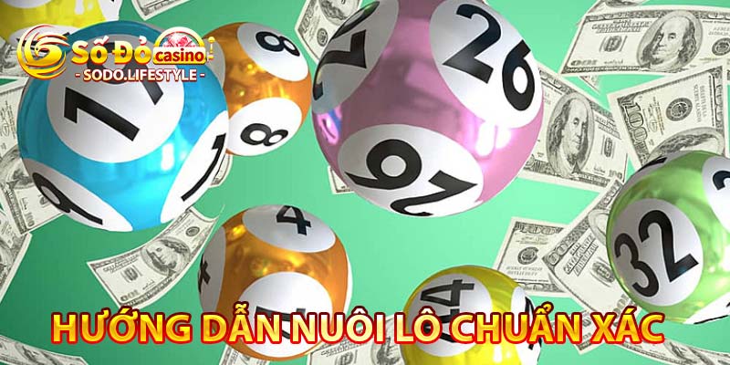 hướng dẫn nuôi lô chuẩn xác